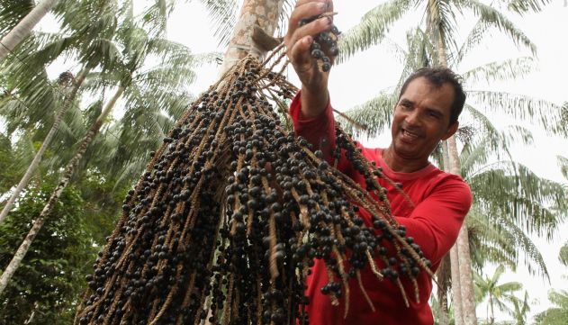 Not Cias Governo Do Estado Lan A Projeto De Fruticultura Do A A Em