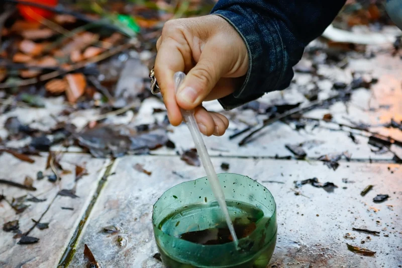 Dengue: o que &eacute;, sintomas, tratamento e preven&ccedil;&atilde;o - Tua Sa&uacute;de