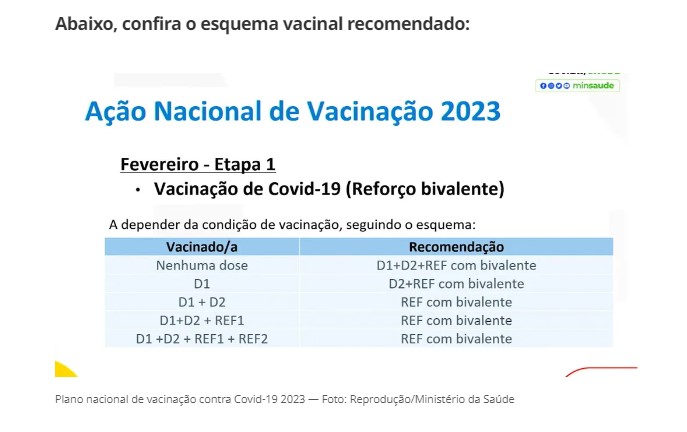 Palmas come&ccedil;a a aplicar vacina bivalente da Pfizer contra Covid-19 em grupos  priorit&aacute;rios; confira | Tocantins | G1