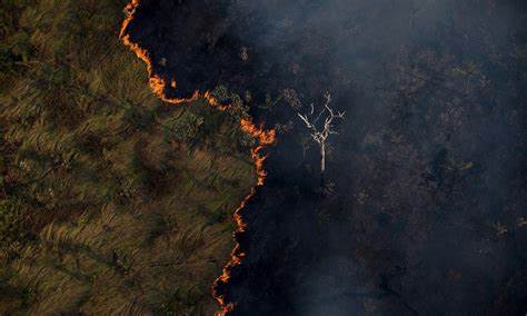 Not&iacute;cias | Inc&ecirc;ndios causam aumento alarmante das emiss&otilde;es de CO2 | Portal  Mulher Amaz&ocirc;nica