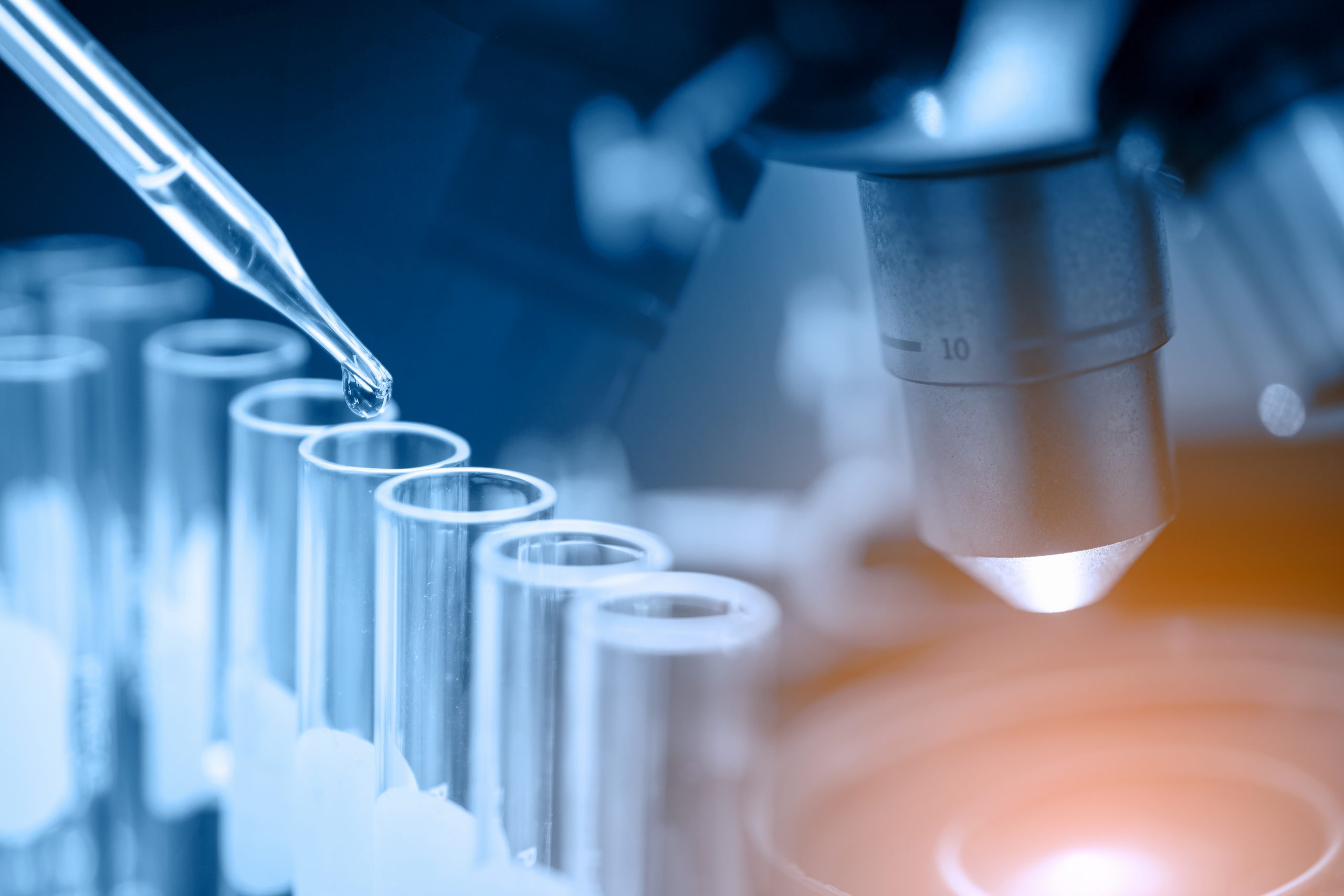 O Brasil continua investindo em pesquisas para novos medicamentos e evitar a prolifera&ccedil;&atilde;o da doen&ccedil;a - Fotos: Divulga&ccedil;&atilde;o